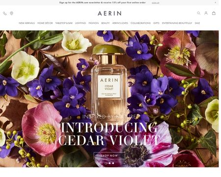 website thubmnail of Aerin