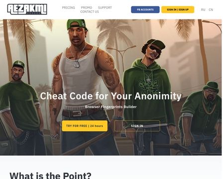 website thubmnail of Aezakmi.run