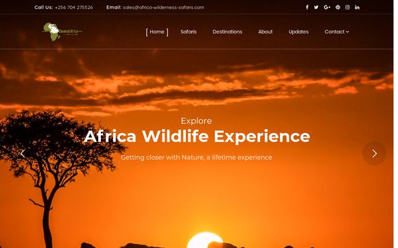 Thumbnail of Africa-wilderness-safaris.com