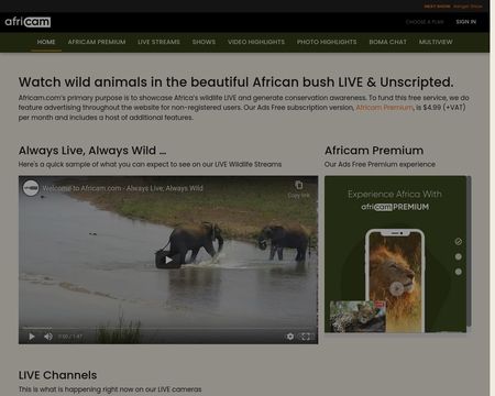website thubmnail of Africam