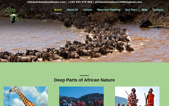 Thumbnail of Africanaturaltours.com