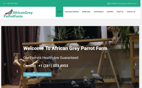 Thumbnail of Africangreyparrotfarm.com