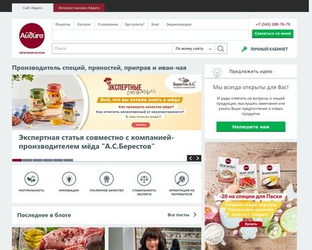 website thubmnail of Aidigo.ru