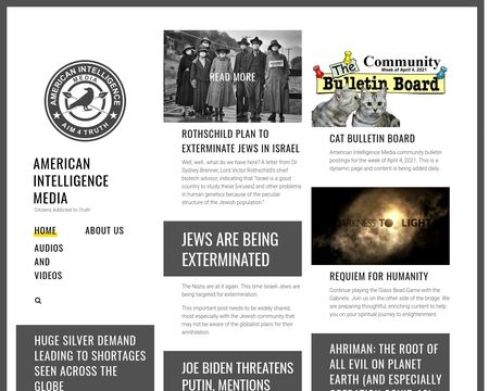 website thubmnail of American Intelligence Media