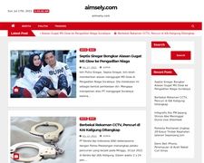 Thumbnail of aimsely.com