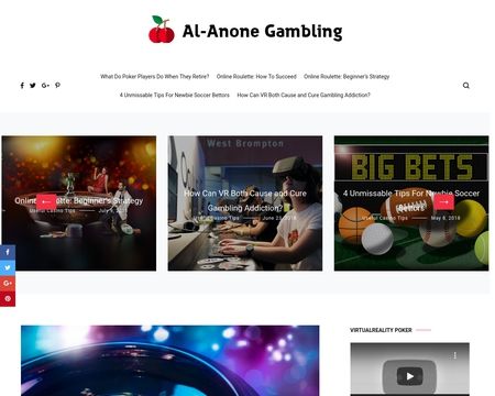 website thubmnail of Al-anonestore.org