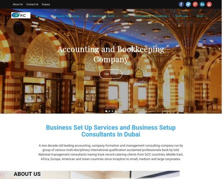 website thubmnail of ALFA