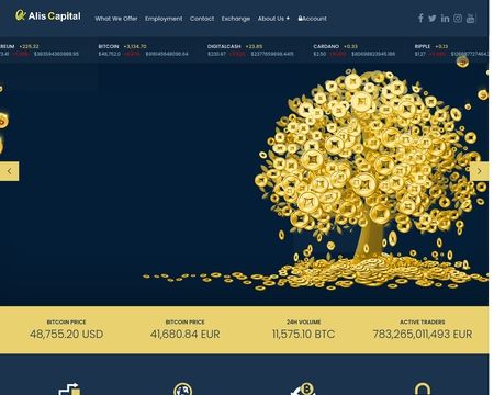 website thubmnail of Alis Capital