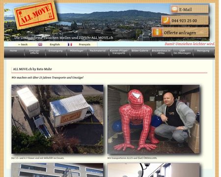 website thubmnail of Allmove.ch