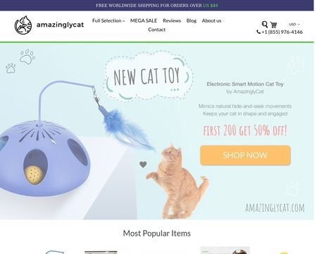 Amazingly Cat