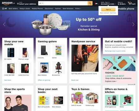 website thubmnail of Amazon AE