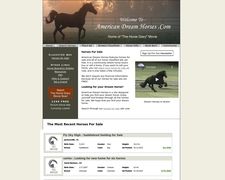 Thumbnail of American Dream Horses