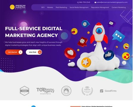 website thubmnail of American Marketing Experts