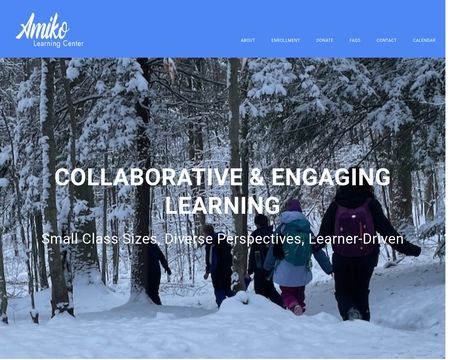 website thubmnail of Amiko