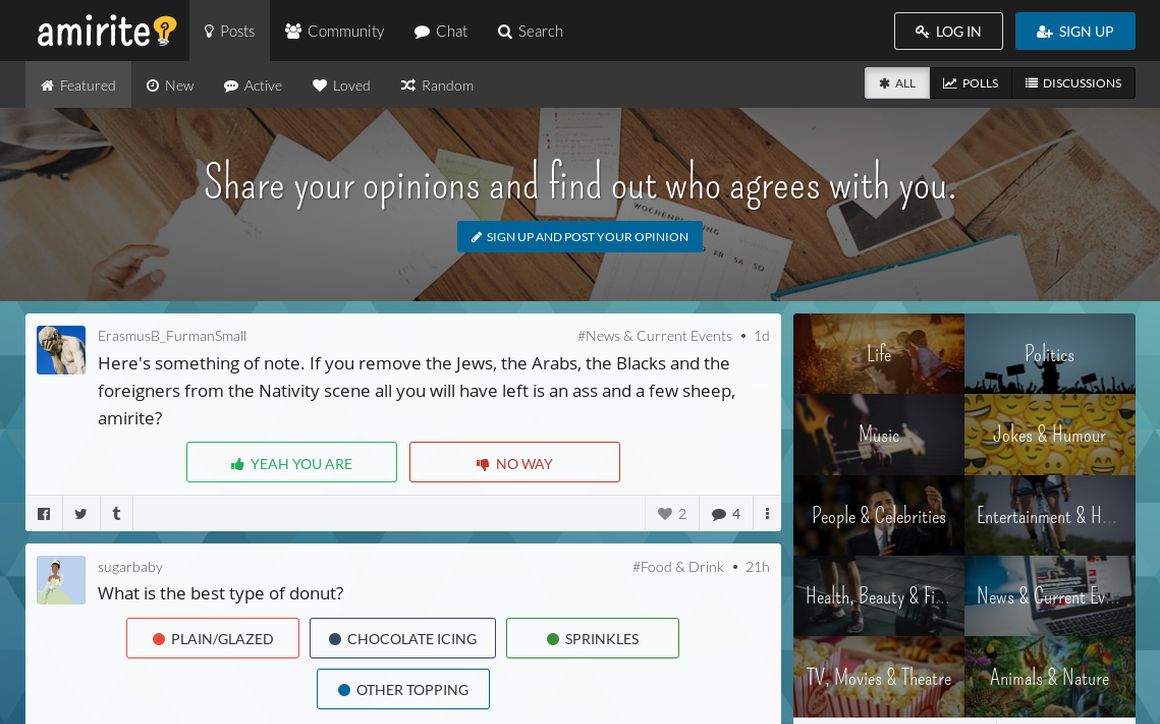 website thubmnail of Amirite.co