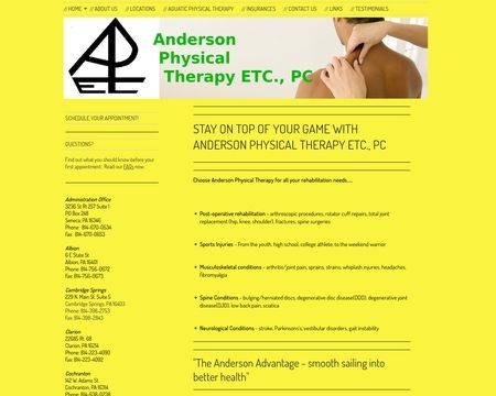 website thubmnail of Anderson Physical Therapy ETC., PC