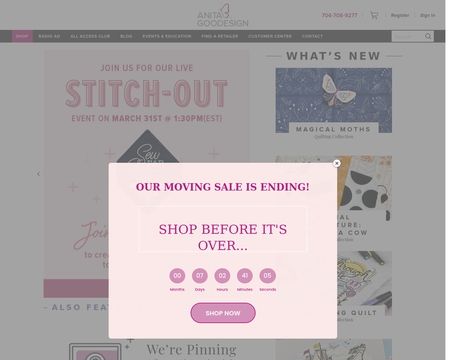 website thubmnail of Anita Goodesign