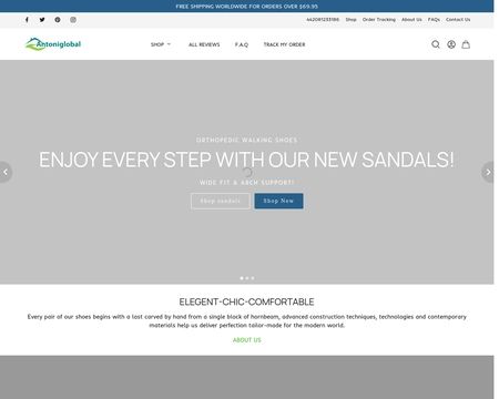 website thubmnail of Antoniglobal