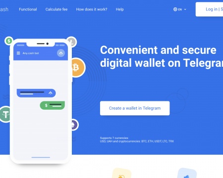 website thubmnail of Any Cash