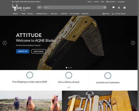 website thubmnail of Aqneblades