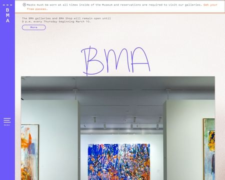 website thubmnail of The Baltimore Museum of Art
