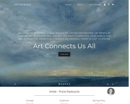 website thubmnail of ArtSpring.co