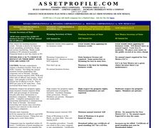Thumbnail of Assetprofile