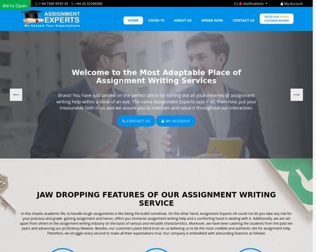 website thubmnail of Assignment Experts UK