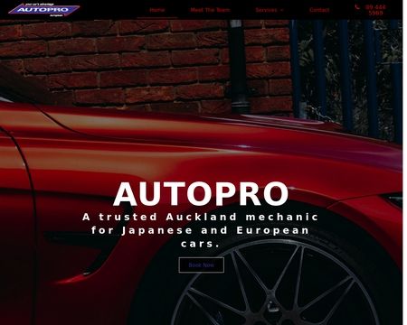website thubmnail of AutoPro