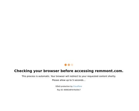 website thubmnail of Average-credit-score.remmont