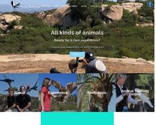 Thumbnail of Avian Behavior