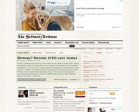 website thubmnail of Avportal.ru