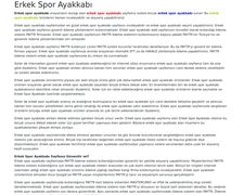 Thumbnail of Ayakkabidukkani.com