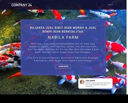 website thubmnail of B24-uc9ds8.bitrix24.site