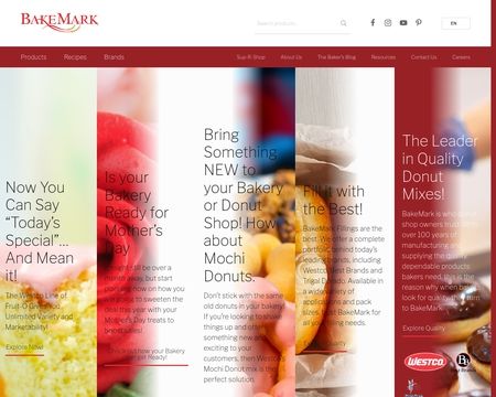 website thubmnail of Bakemark