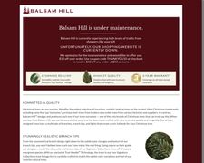 Thumbnail of Balsam Hill Brands