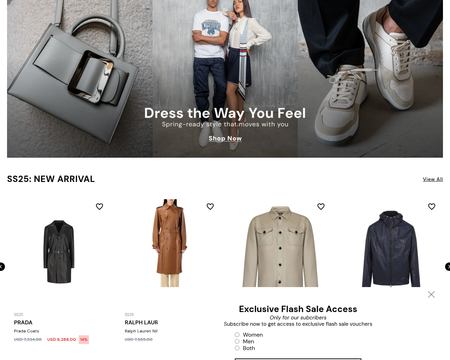 website thubmnail of Baltini