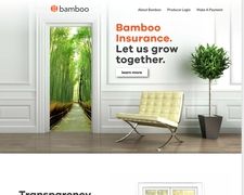 Thumbnail of Bamboo Insurance