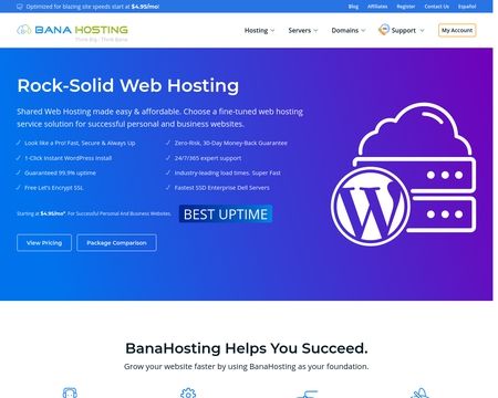 website thubmnail of Bana Hosting