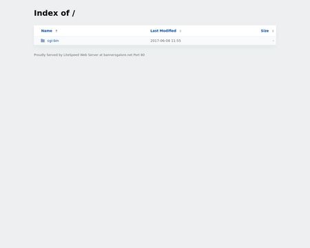 website thubmnail of Bannersgalore.net