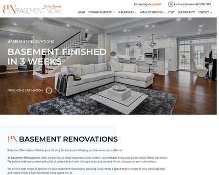 website thubmnail of Basement Birds