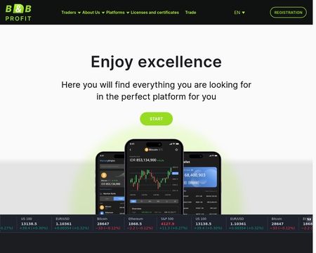 website thubmnail of Bbprofit.co