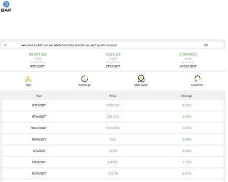 website thubmnail of Beapay