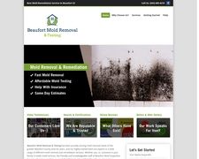 Thumbnail of Beaufort Mold Removal & Testing