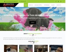 Thumbnail of Beautifulpugpuppies.com