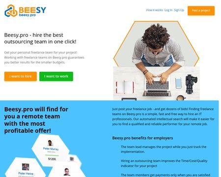 website thubmnail of Beesy Pro