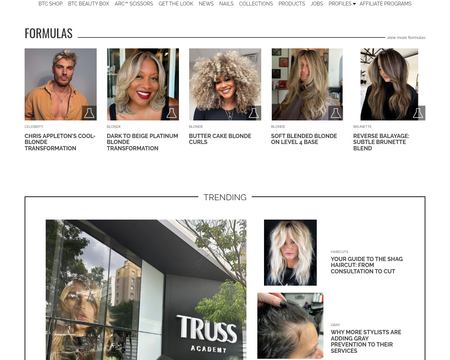 website thubmnail of BehindTheChair