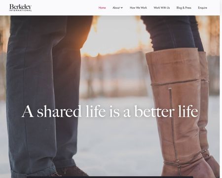 website thubmnail of Berkeley International