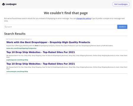 website thubmnail of BestDropshipper.net