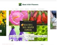 Thumbnail of Bestirishflowers.com
